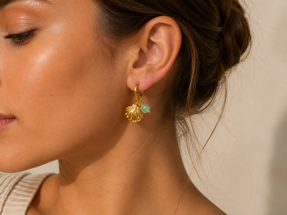 Aurelia seashell earrings